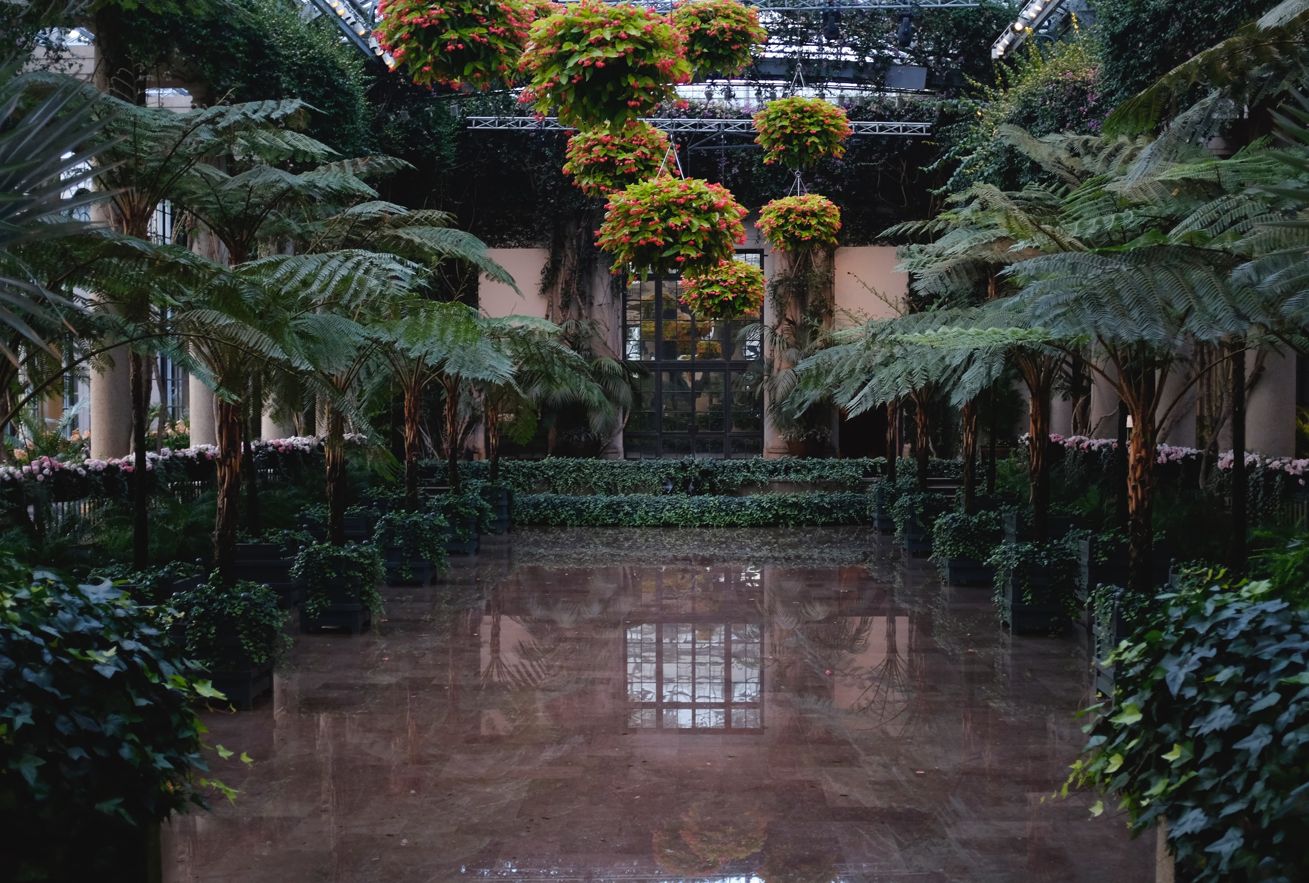 indoor greenhouse